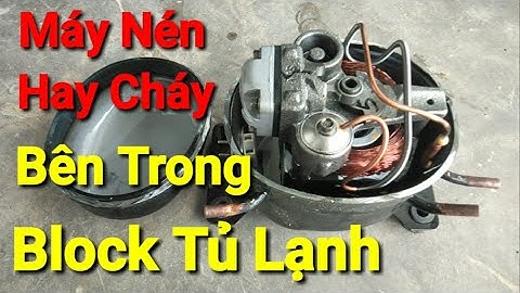 Nguyên Nhân Máy Nén Tủ Lạnh Hay Cháy//Cắt Xẻ Kiểm Tra Bên Trong Block Tủ Lạnh