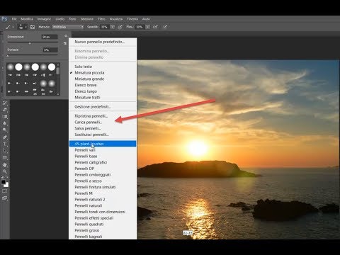 Video: Dove Installare I Pennelli In Photoshop