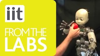 iCub - Reaching Behavior
