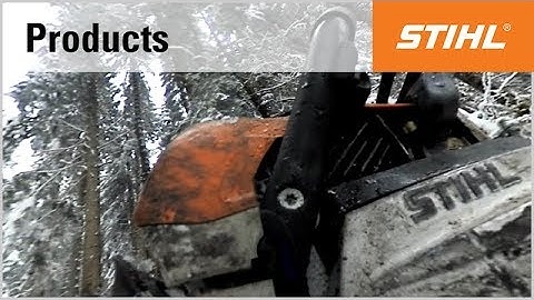360° video: Limbing using a STIHL chainsaw