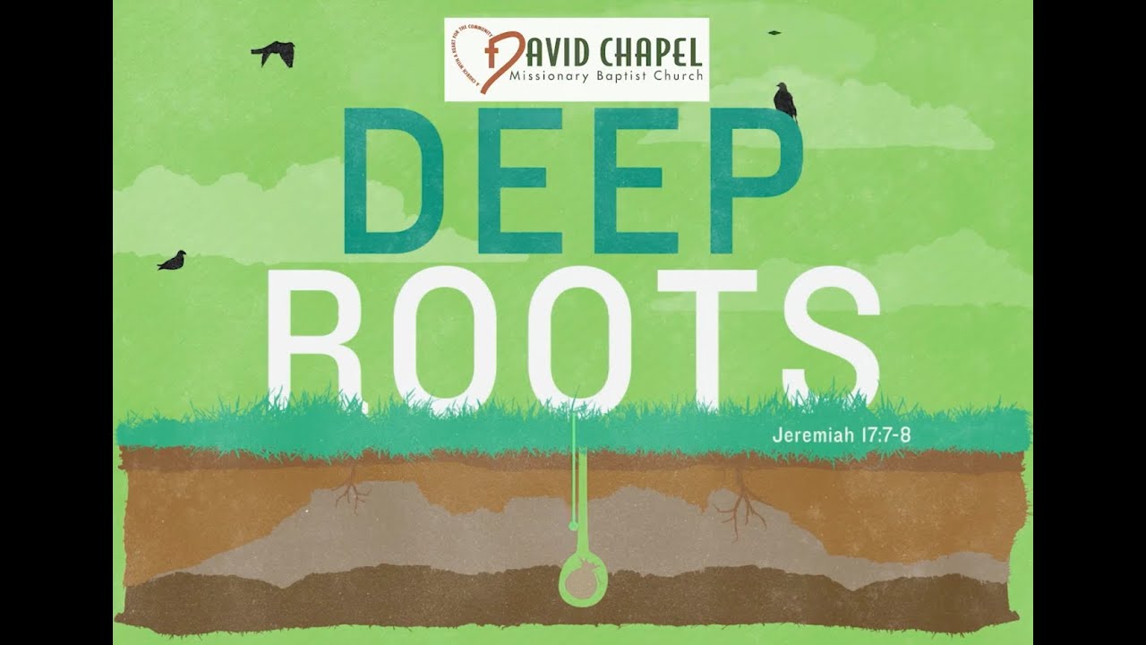 David Chapel Sermon - DEEP ROOTS: “Clearing the Ground”