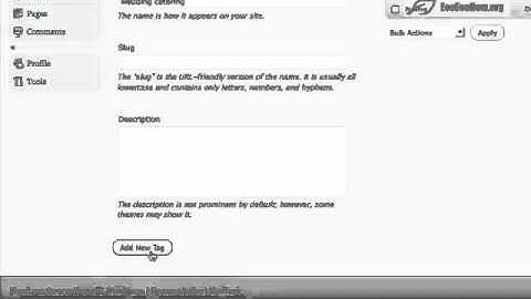 WordPress - How to create and use tags