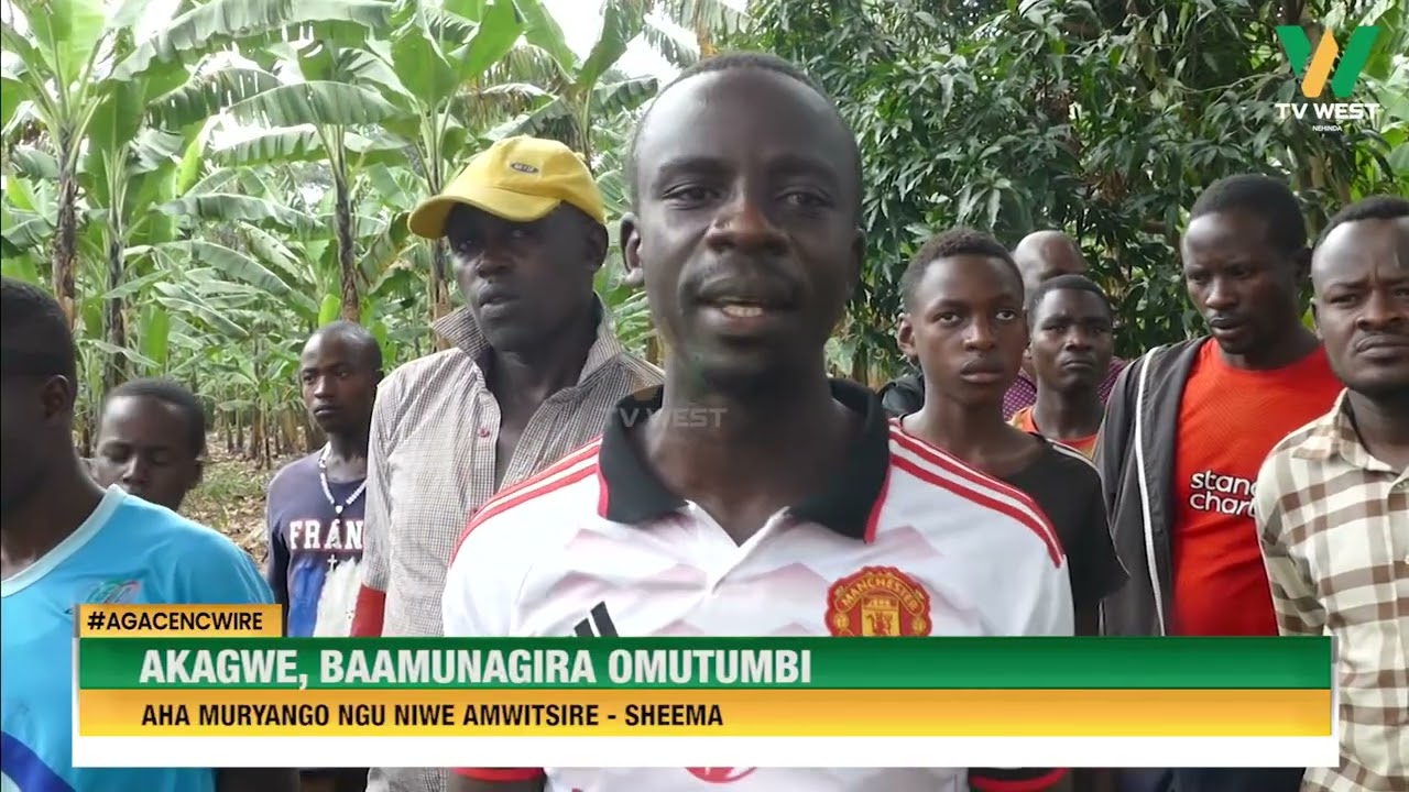 AGACENCWIRE: Akagwe, baamunagira omutumbi aha muryango ngu niwe amwitsire.