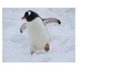 CARGAR IMAGEN A BASE DE DATOS PHP Y MYSQLI Y MOSTRAR EN PANTALLA 100% FUNCIONAL