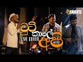 Chuti kale api    live cover  knights