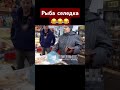 Рыба селедка
