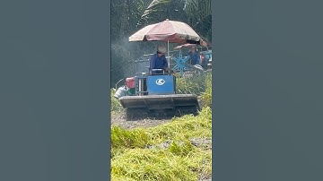 Máy cắt đã bị thất thủ #shorts theo máy cắt bắt cá