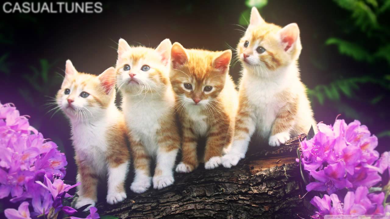 Yonas - One More Time