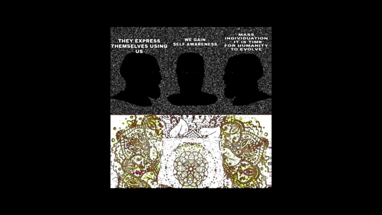 Mass Individuation Meme Analysis 