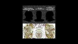 Mass Individuation Meme Analysis #shorts