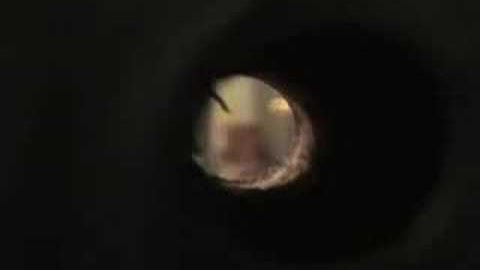 Streets Is Talking - Official Trailer