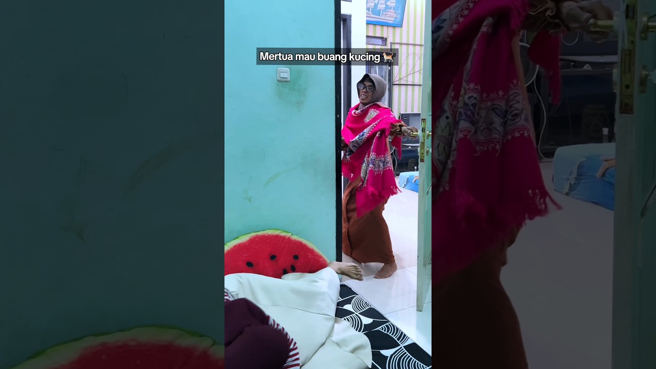 Mertua selalu ganggu kucing-kucingku 😮💨 #relate #videolucu #cat #kucing #funnyvideo #kucinglucu