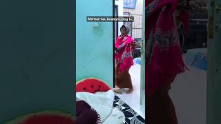 Mertua selalu ganggu kucing-kucingku 😮‍💨 #relate #videolucu #cat #kucing #funnyvideo #kucinglucu