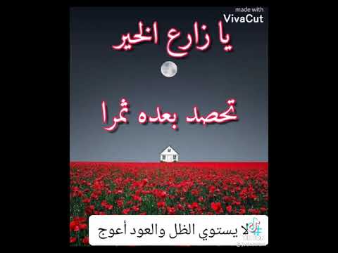 يا نفس كفي عن العصيان واكتسبي فعلا جميلا لعل الله يرحمني