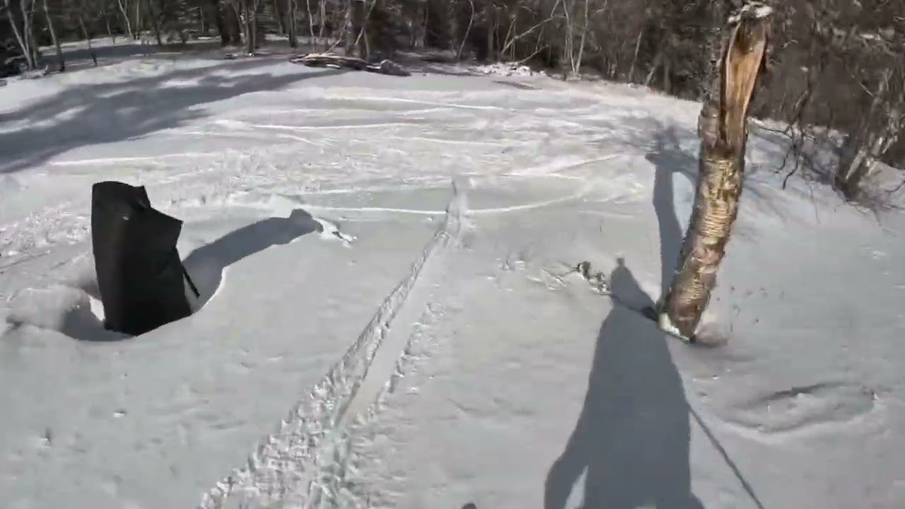 Terry Peak #terrypeak #skiing #darkhorse #ski #surprise