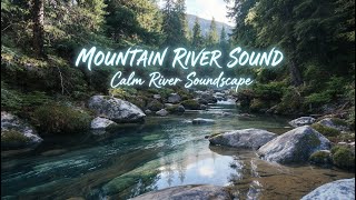 Calming River Ambience | Tranquil Forest Sounds for Study &amp; Focus #RiverSounds