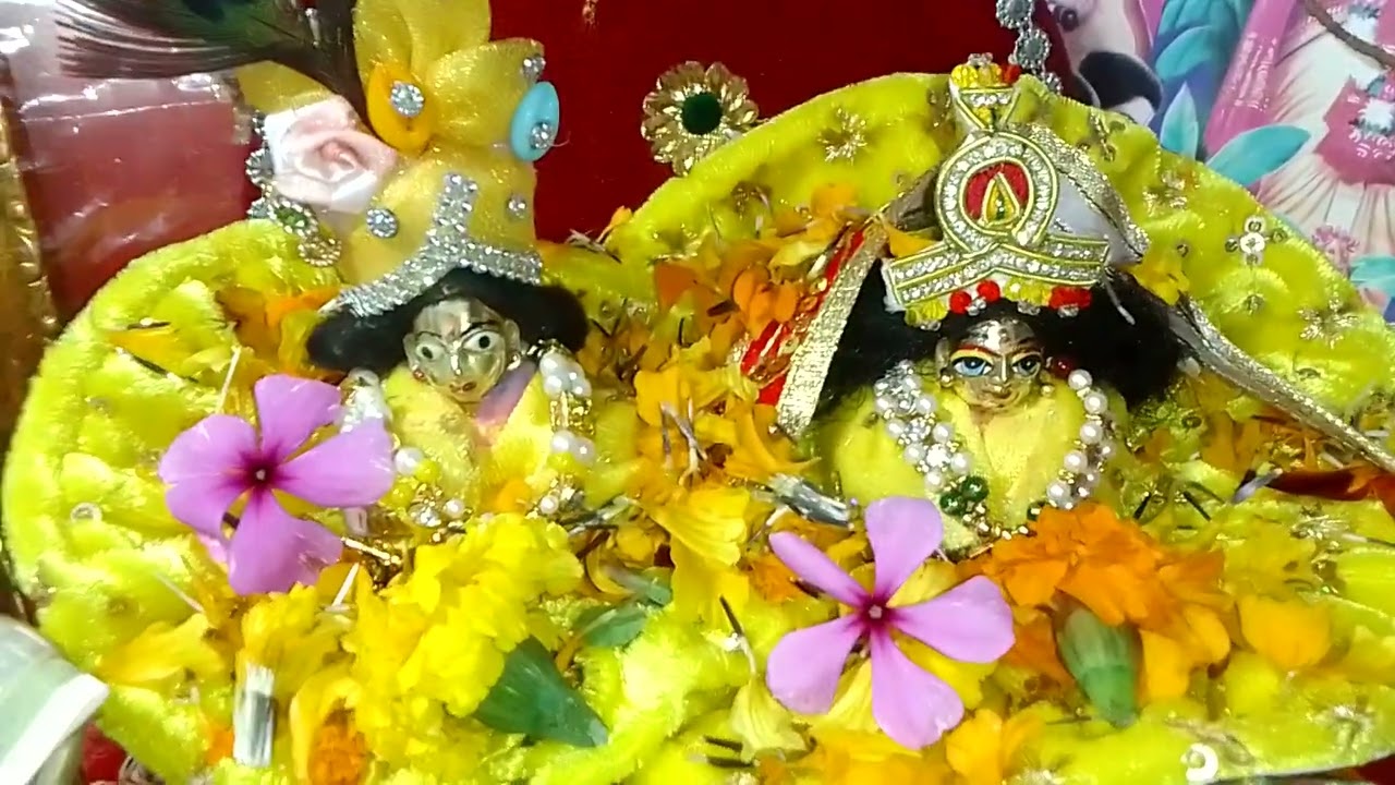 रंगभरी एकादशी पर ऐसे करी हमने कान्हा राधा की सेवा रंग लगाने का आज क्या महत्व है 🤔🦚🌷💕