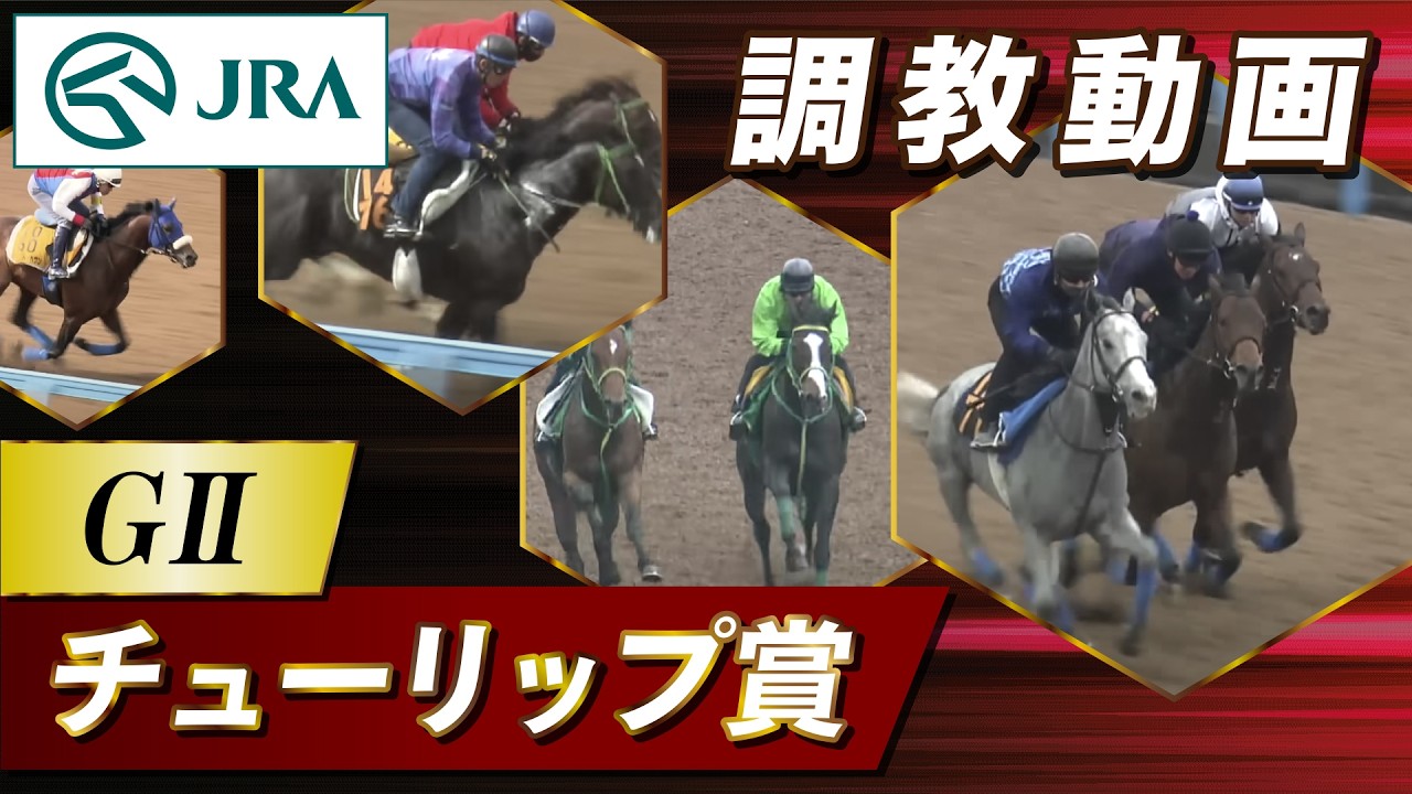 【調教動画】2026年 チューリップ賞｜JRA公式