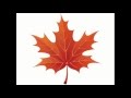 Как нарисовать лист клена, дуба и березы по шагам. How to draw a maple leaf oak and birch in steps