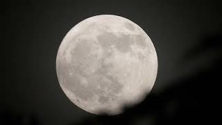 Luna gibbosa crescente al 98%.  Roma 3 giugno 2023 ore 21