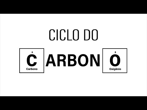 Vídeo: O ciclo do carbono é um ciclo geoquímico?