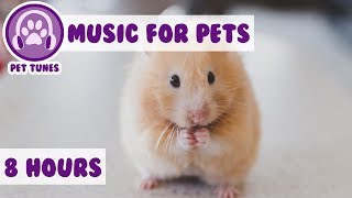 8 Hours of Soothing Music for Pets! Calm Anxiety and Reduce Bad Behaviour with Calming Pet Music!