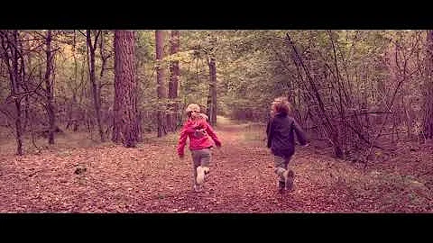 Michael Lane - Moment (Official Music Video)