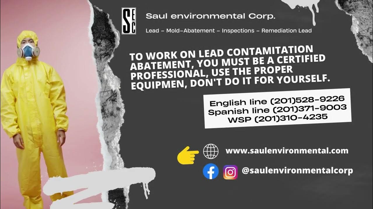 We are expert in lead abatement with 20 years of experience in New