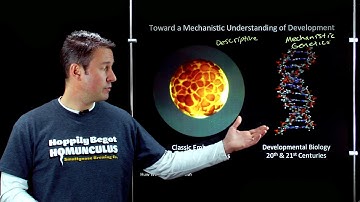 Online Developmental Biology: Overview of the Field