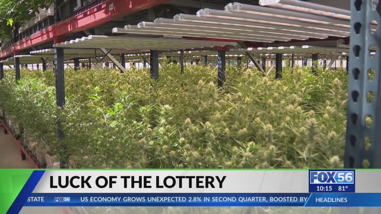 Small businesses concerned with Kentucky marijuana dispensary lottery