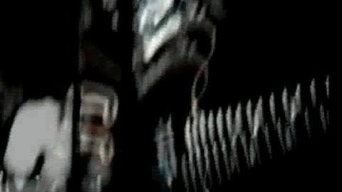 Roadrunners - Macadam River (Official Video)