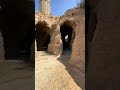 حديقة جبلاية الأسماك بالزمالك   