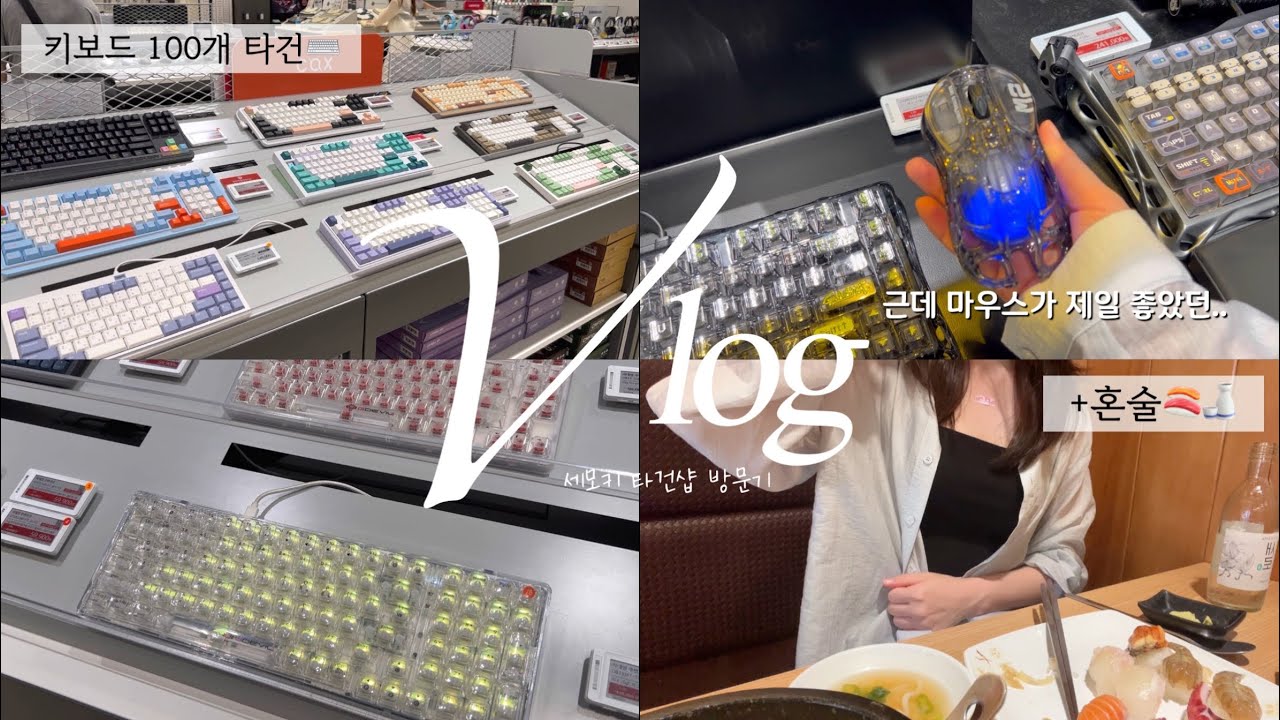 vlog｜용산 세모키 타건샵 갔다가 혼술한 하루🍣🍶