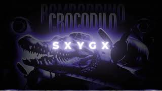 Download Lagu SXYGX - MONTAGEM BOMBARDINO CROCODILO MP3