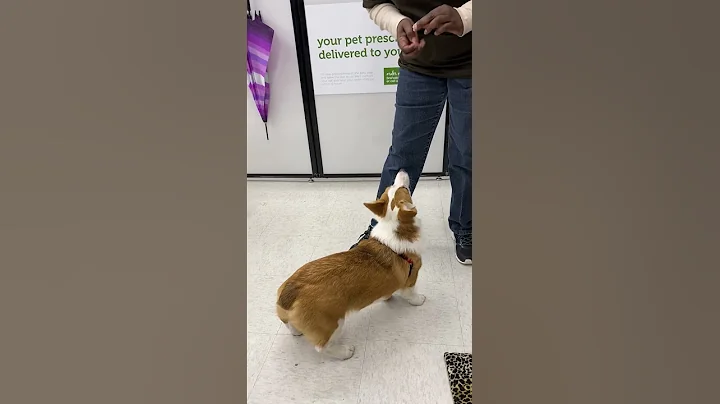 Sally Hopper learning how to jump