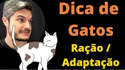 Qual a idade para começar a dar a ração para os gatinhos?