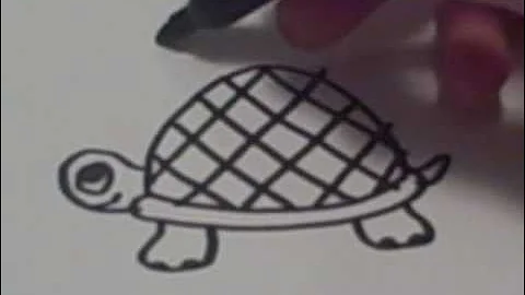 How to Draw a Cartoon Turtle