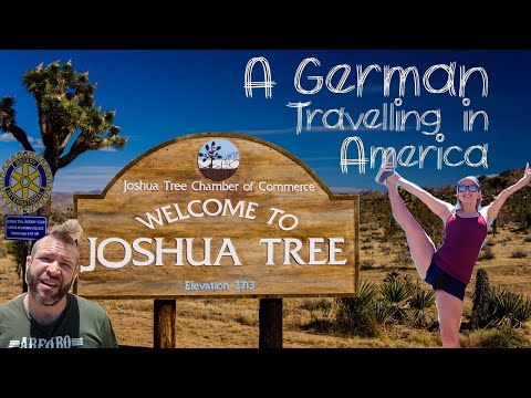 Video: Zeldzame Sneeuwval In Las Vegas, Los Angeles En Joshua Tree National Park