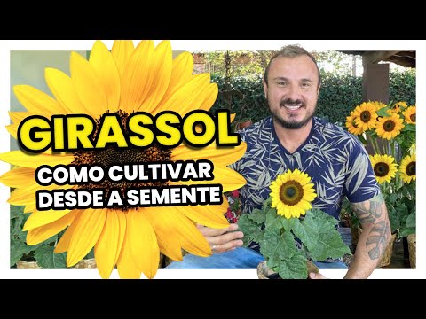 Vídeo: Propagação de sementes de plantas de casa: por que cultivar uma planta de casa a partir de sementes