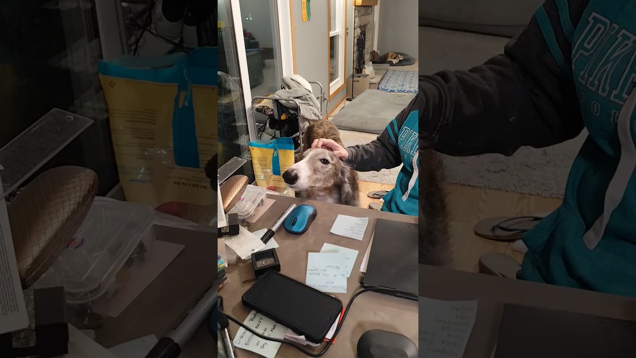 Mama pets while counter surfing