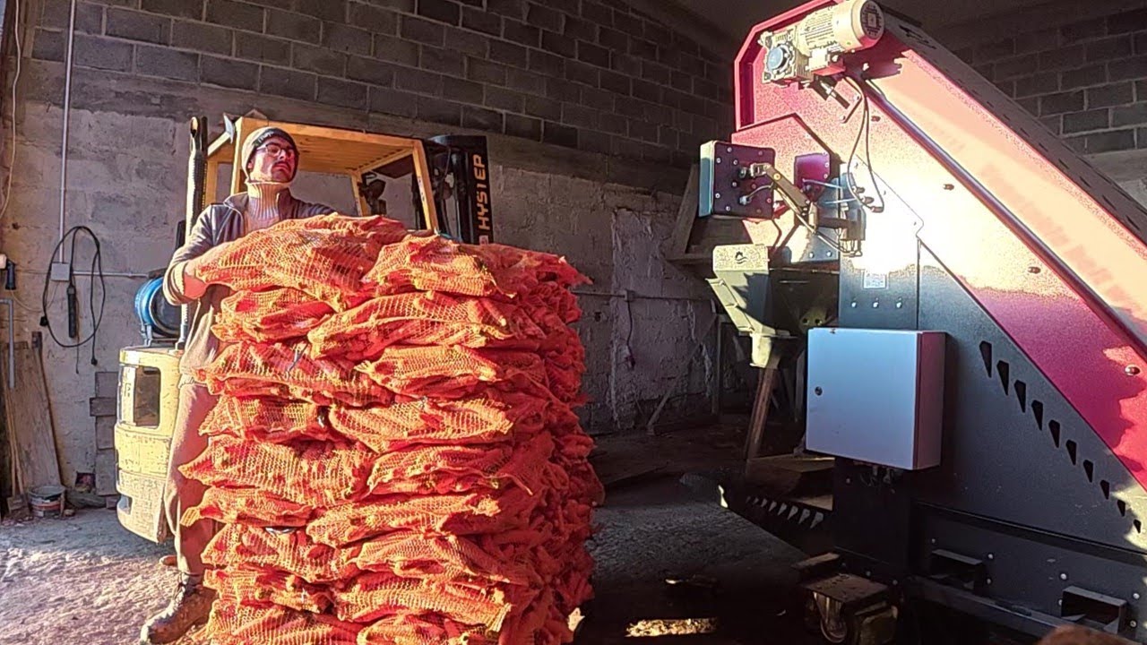 Przygotowanie marchewki do sprzedaży - Kilka słów o wagopakowarce [Vlog 58]