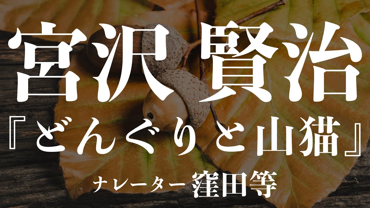 『どんぐりと山猫』作：宮沢賢治　朗読：窪田等　作業用BGMや睡眠導入 おやすみ前 教養にも 本好き 青空文庫
