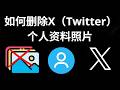 如何删除 X(Twitter)个人资料照片 - 完整指南
