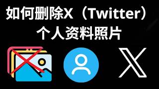 如何删除 X(Twitter)个人资料照片 - 完整指南
