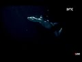 فاصل السباحة SWIMMING IN THE DARK IDENT 