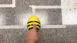Bee-bot Activity