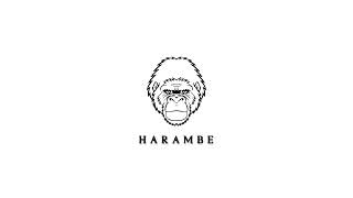 Rere - HARAMBE (prod. ASTRØWILK)