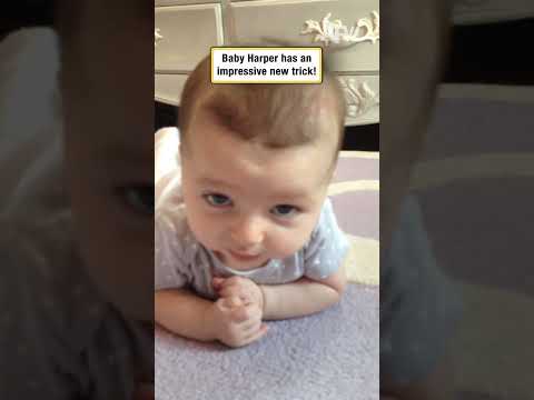 The Cutest New Trick You'll See Today #babytrick #adorable #shorts 1 The Cutest New Trick You'll See Today #babytrick #adorable #shorts