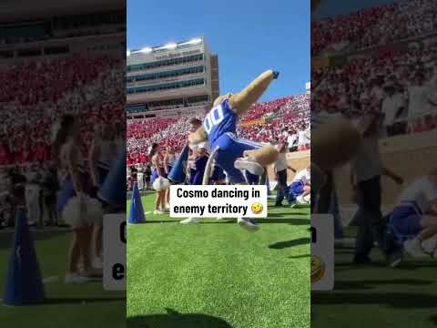 Cosmo’s just vibing out 🕺