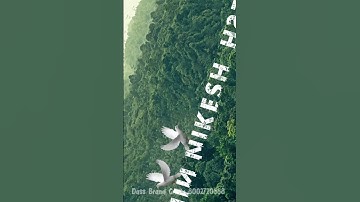 Trending Name Art Video Editing 100% Viral🔥😱? Urban Jungle Font Photo Editing